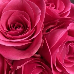 Meet your Posher, Aye